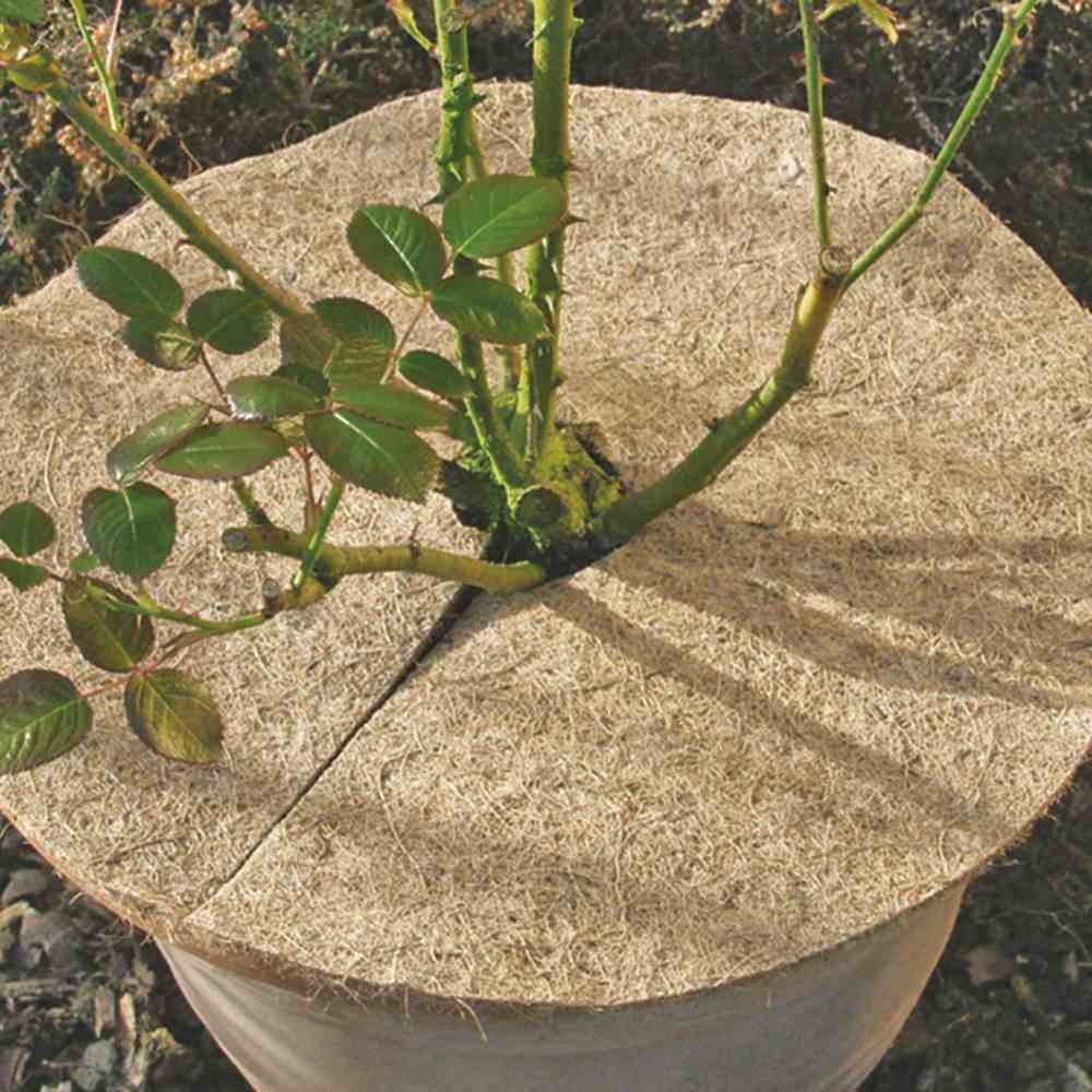 Kokos-Mulchscheibe / Durchmesser 37 cm Kokos-Mulchscheibe / Durchmesser 37 cm