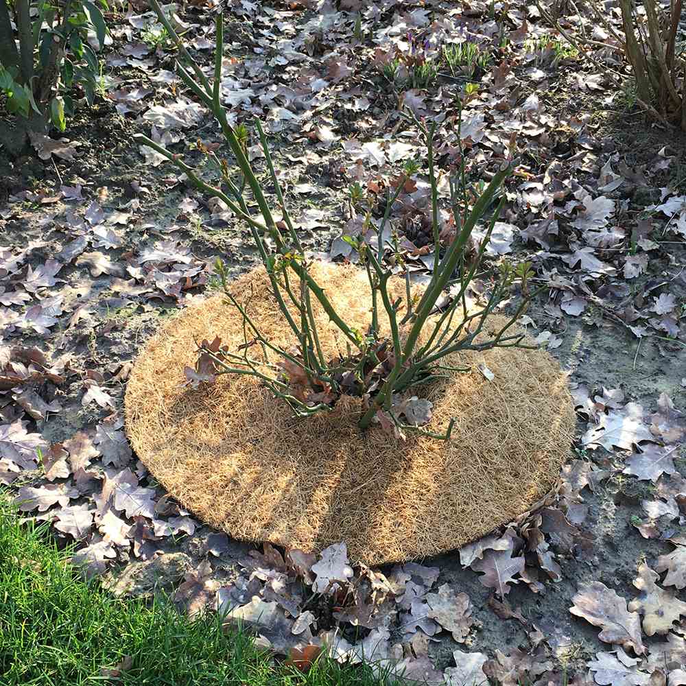 Kokos-Mulchscheibe / Durchmesser 37 cm Kokos-Mulchscheibe / Durchmesser 37 cm