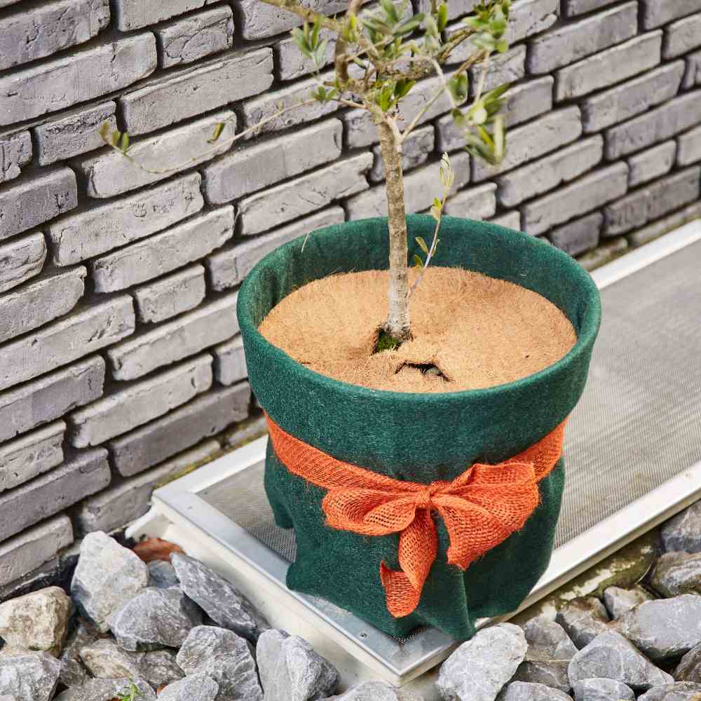 Kokos-Mulchscheibe / Durchmesser 37 cm Kokos-Mulchscheibe / Durchmesser 37 cm